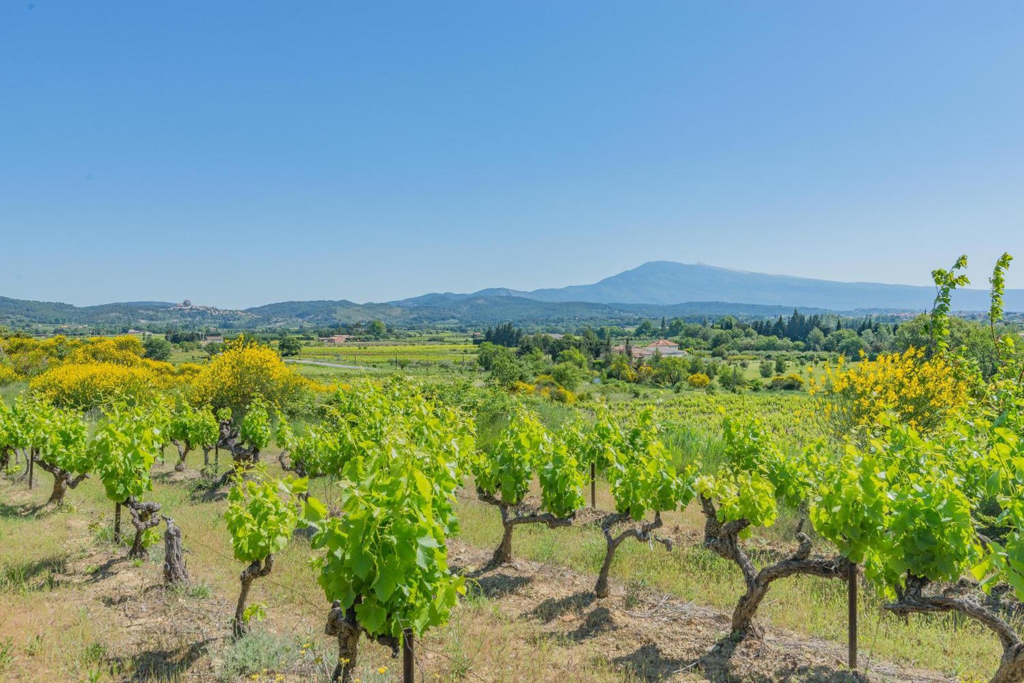 Domaine Purviti Villa โบมส์-เดอ-เวอนีซ ภายนอก รูปภาพ